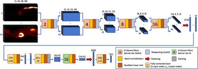 Deep learning derived input function in dynamic [18F]FDG PET imaging of mice